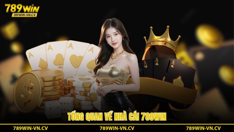 Tổng quan về nhà cái 789win
